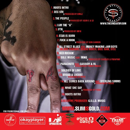 sts-demand-more-2-back