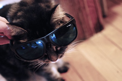 del-the-funky-homosapien-x-arnette-sunglasses-011 del-the-funky-homosapien-x-arnette-sunglasses-011