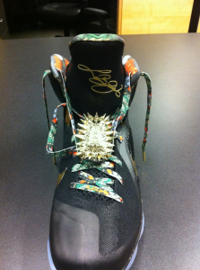lebron-9-wtt-03