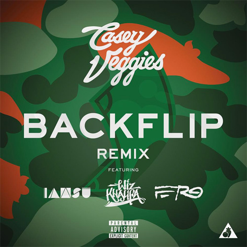 casey-veggies-backflip-remix