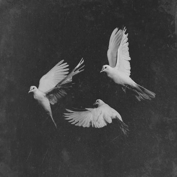 image002